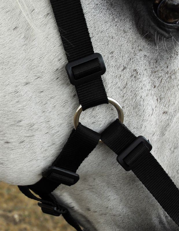 Rhinegold Grazing Muzzle - Just Horse Riders