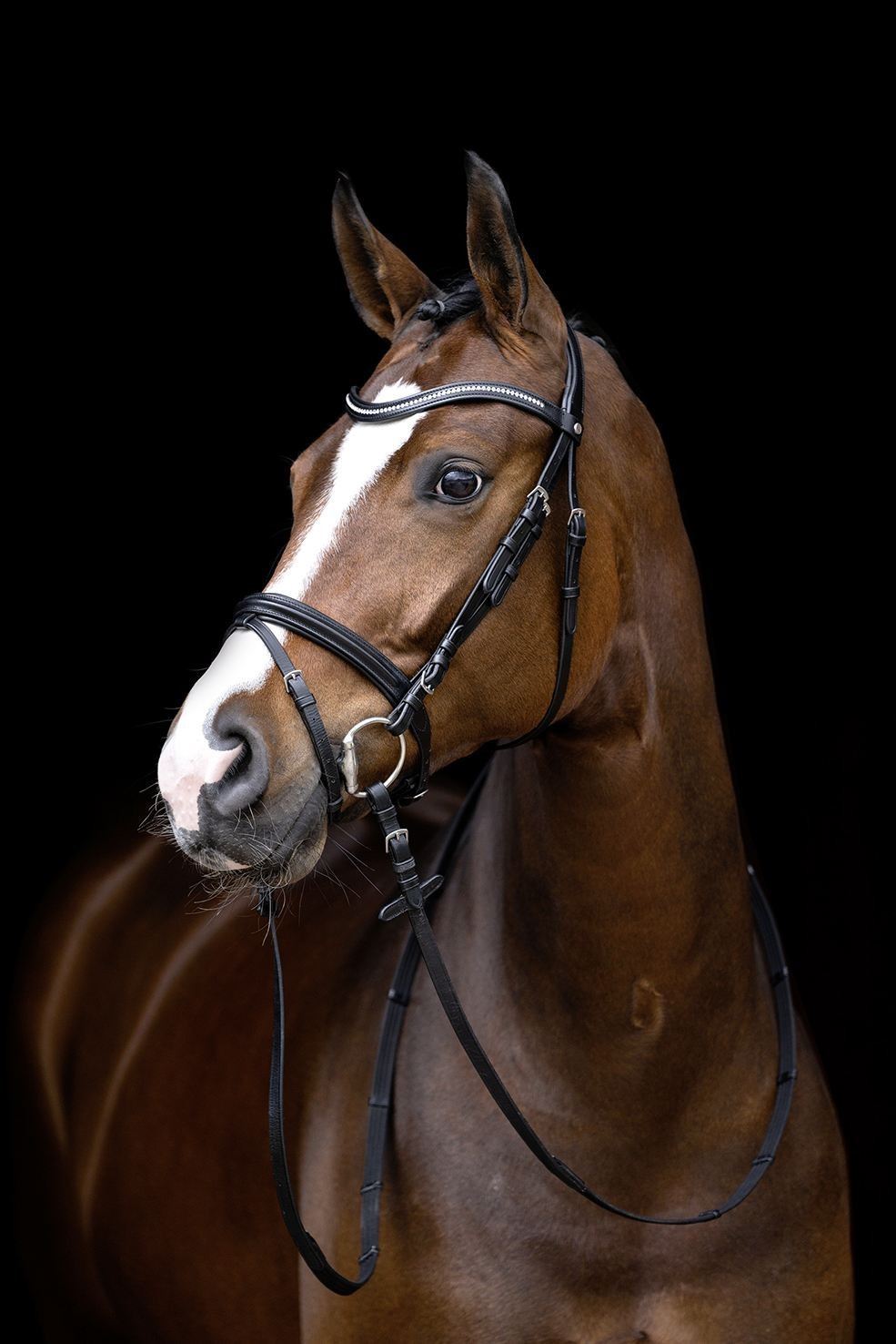 HKM Bridle Malin - Just Horse Riders