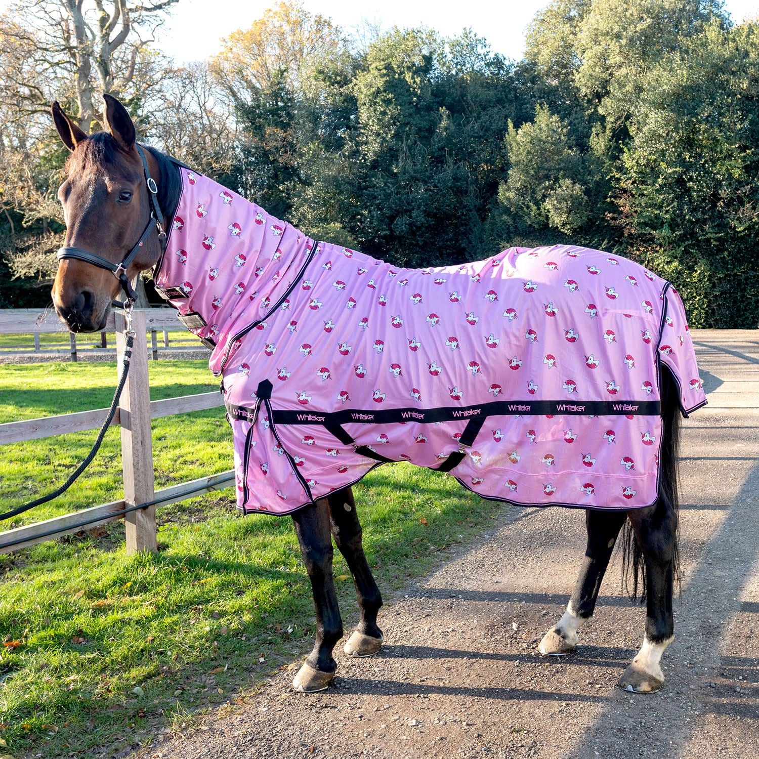 Whitaker Unicorn Fly Rug - Just Horse Riders