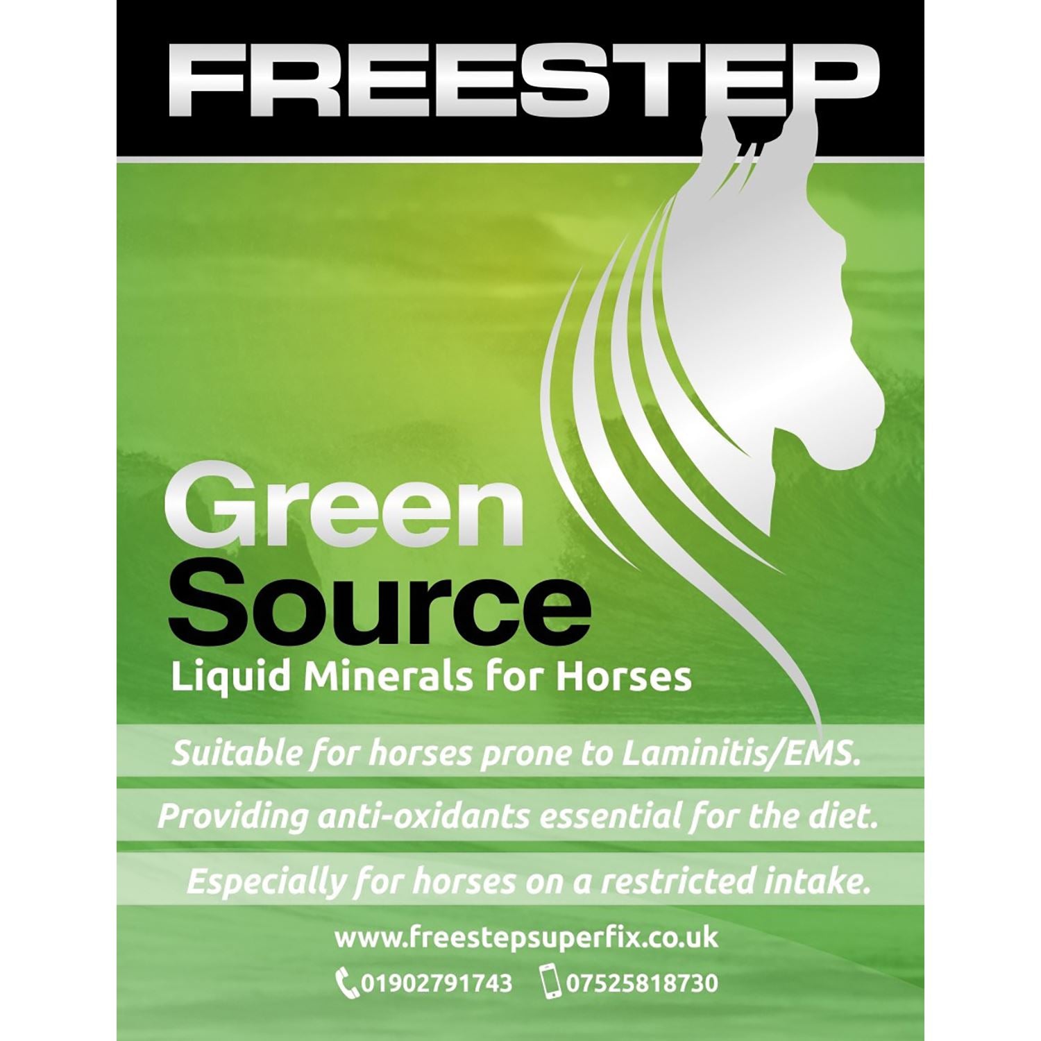 Freestep Source - Just Horse Riders