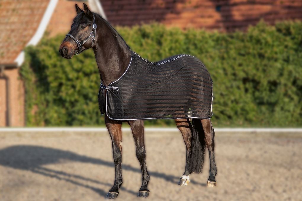 HKM Fly Rug - Just Horse Riders