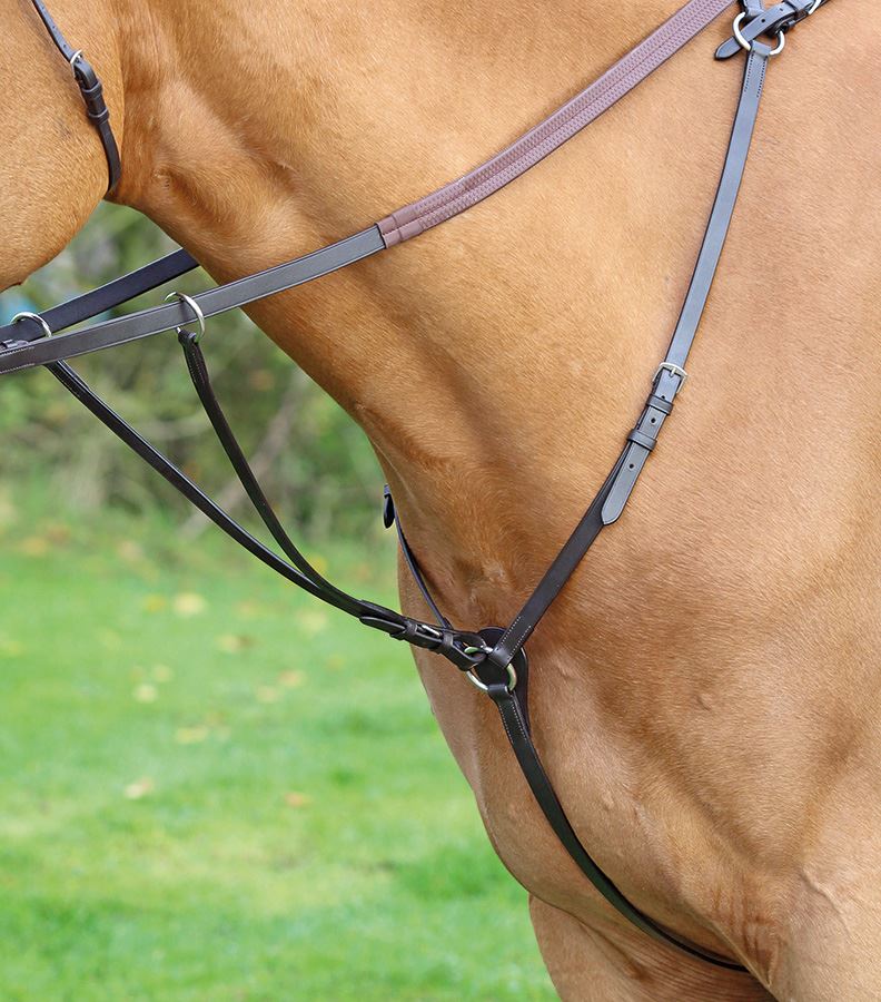 Equine Management Wmcs Miracle Collar - Just Horse Riders
