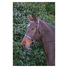 Hy Hunter Bridle with Rubber Grip Reins - Just Horse Riders