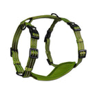 Alcott Products Adventure Harness - Just Horse Riders