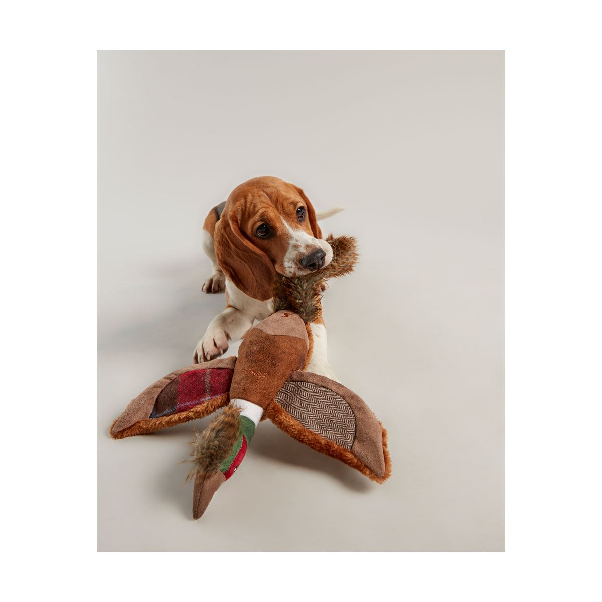 Joules Pheasant Dog Toy - Just Horse Riders
