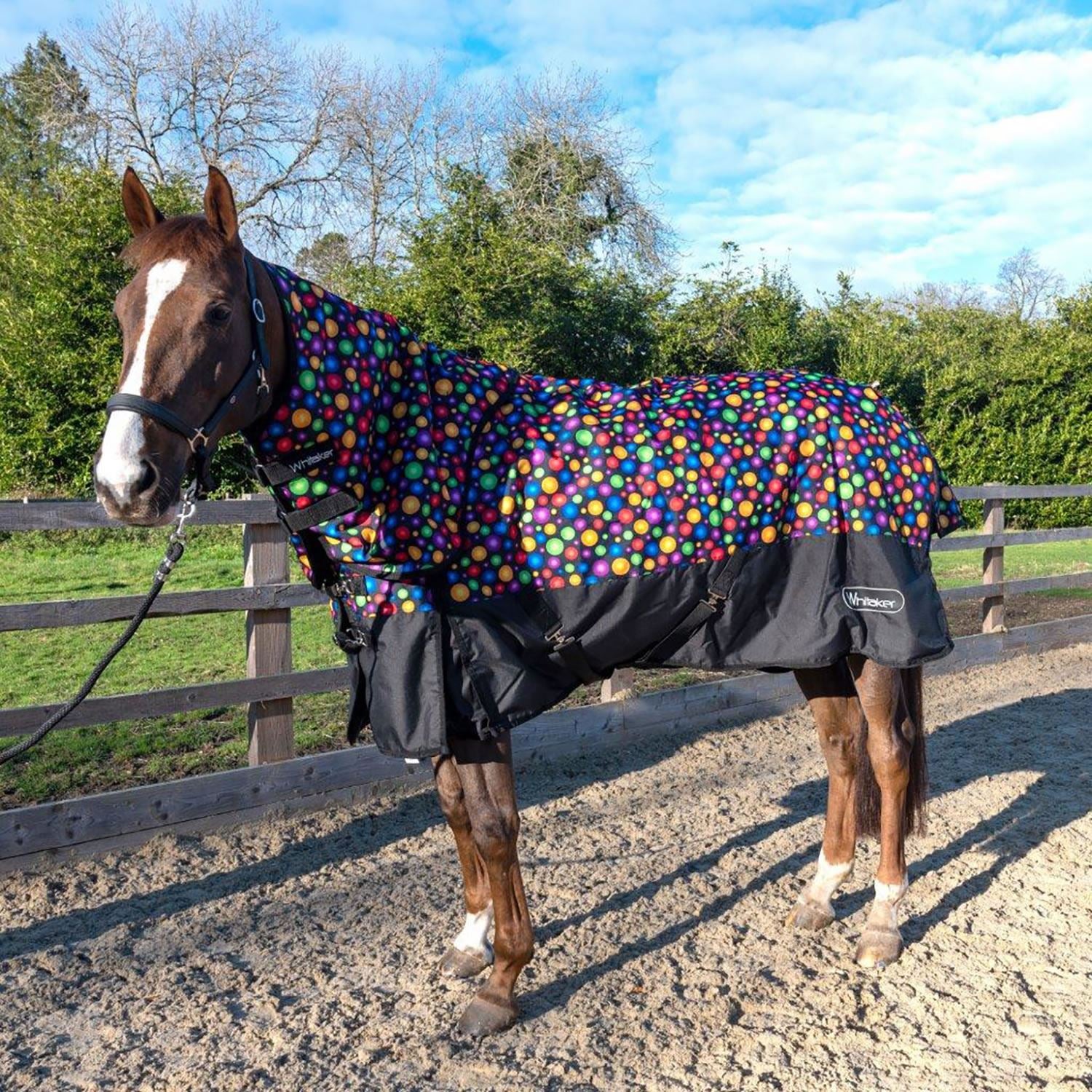 Whitaker Whiston Turnout Rug Detachable Neck 170Gm - Just Horse Riders