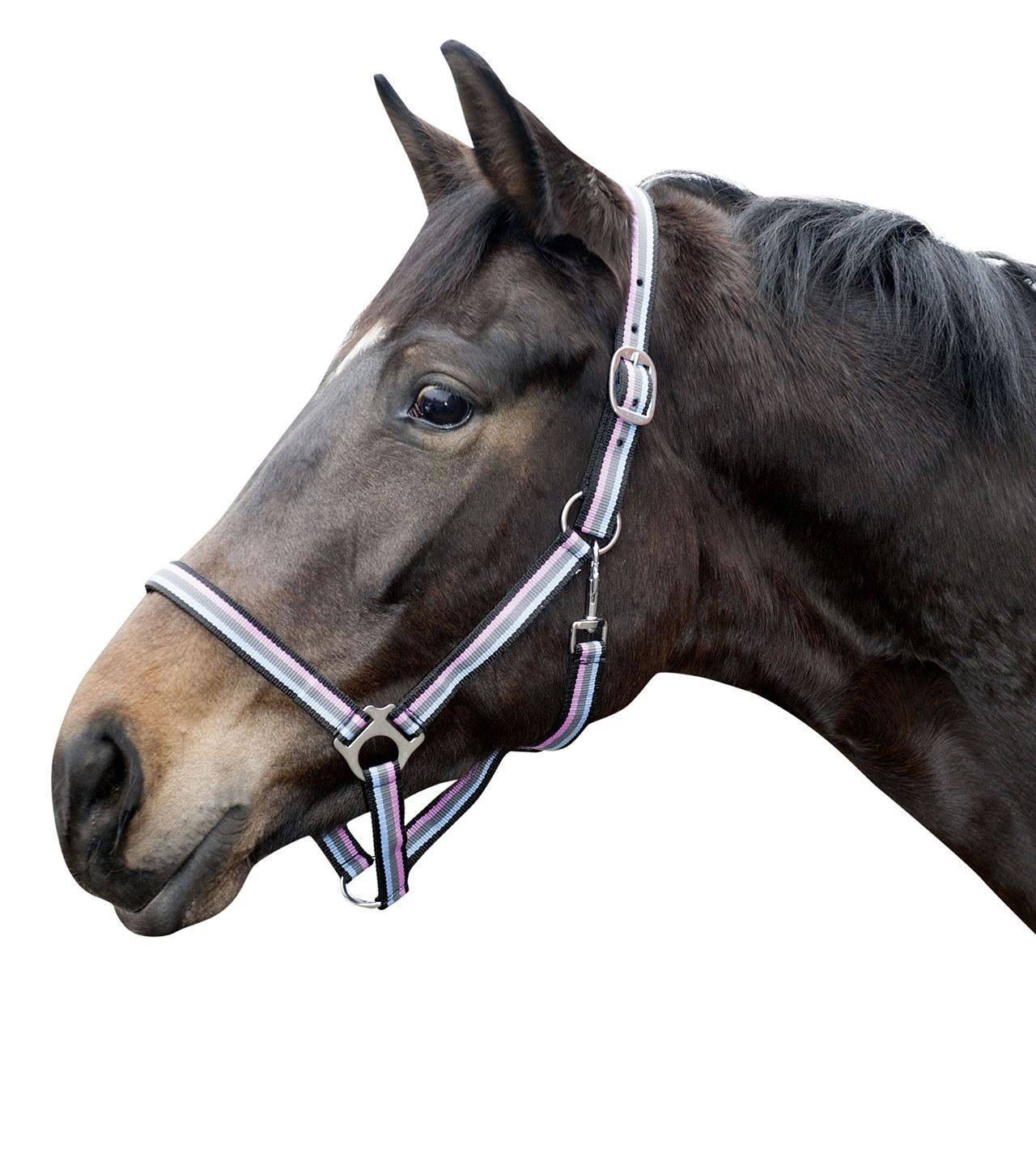 HKM Head Collar Linz - Just Horse Riders