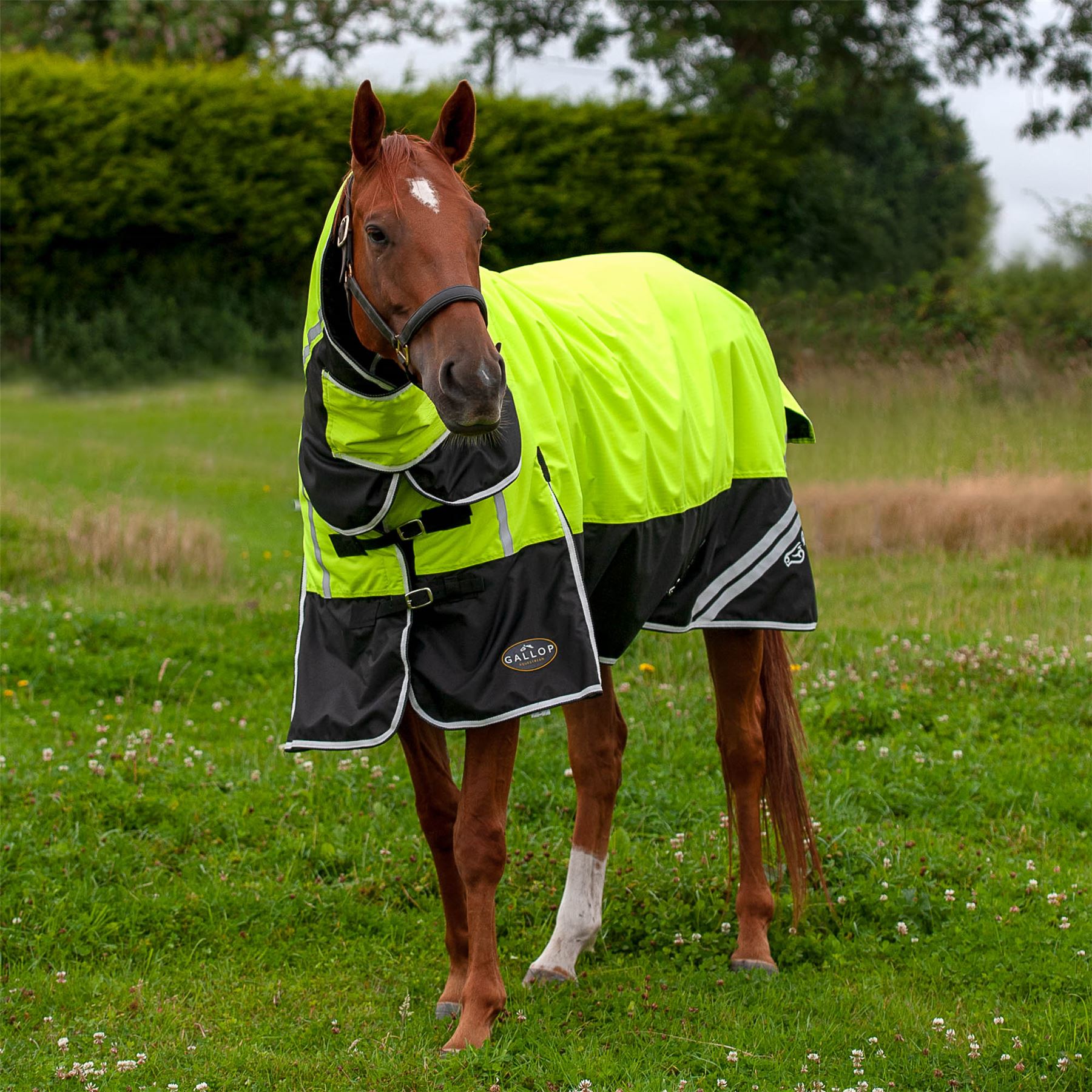 Gallop Equestrian Hi Vis 200G Combo Turnout Rug - Just Horse Riders