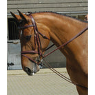Whitaker Training Rein - Just Horse Riders