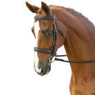 HKM Head Collar Zürich Soft Padding - Just Horse Riders