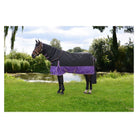 StormX Original 200 Turnout Rug with Detachable Neck Cover - Just Horse Riders