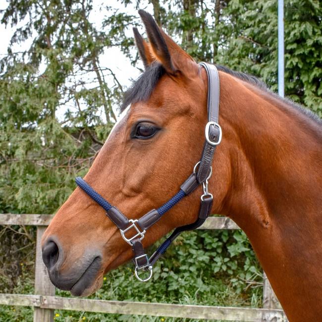 John Whitaker Raywell Leather and Rope Headcollar - Just Horse Riders