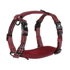 Alcott Products Adventure Harness - Just Horse Riders