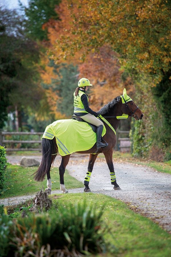 Shires Equi-Flector® Mesh Exercise Sheet - Just Horse Riders