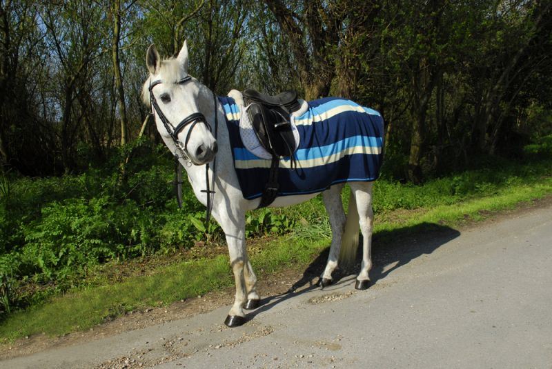 Rhinegold Fleece 3/4 Ride On Rug - Just Horse Riders