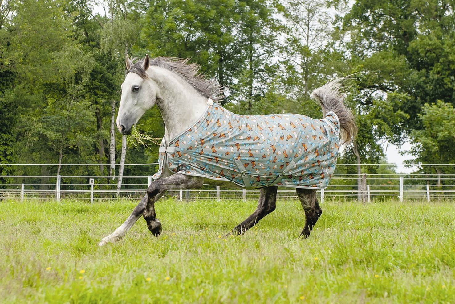 HKM Fly Rug Butterfly - Just Horse Riders