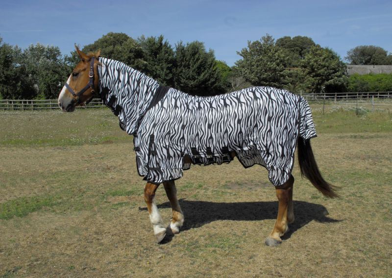Rhinegold Sahara Zebra Print Full Neck Fly Rug - Just Horse Riders