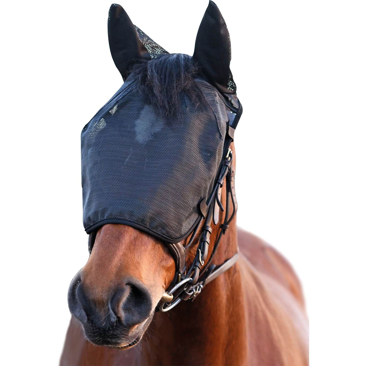 Equilibrium Net Relief Riding Mask - Just Horse Riders