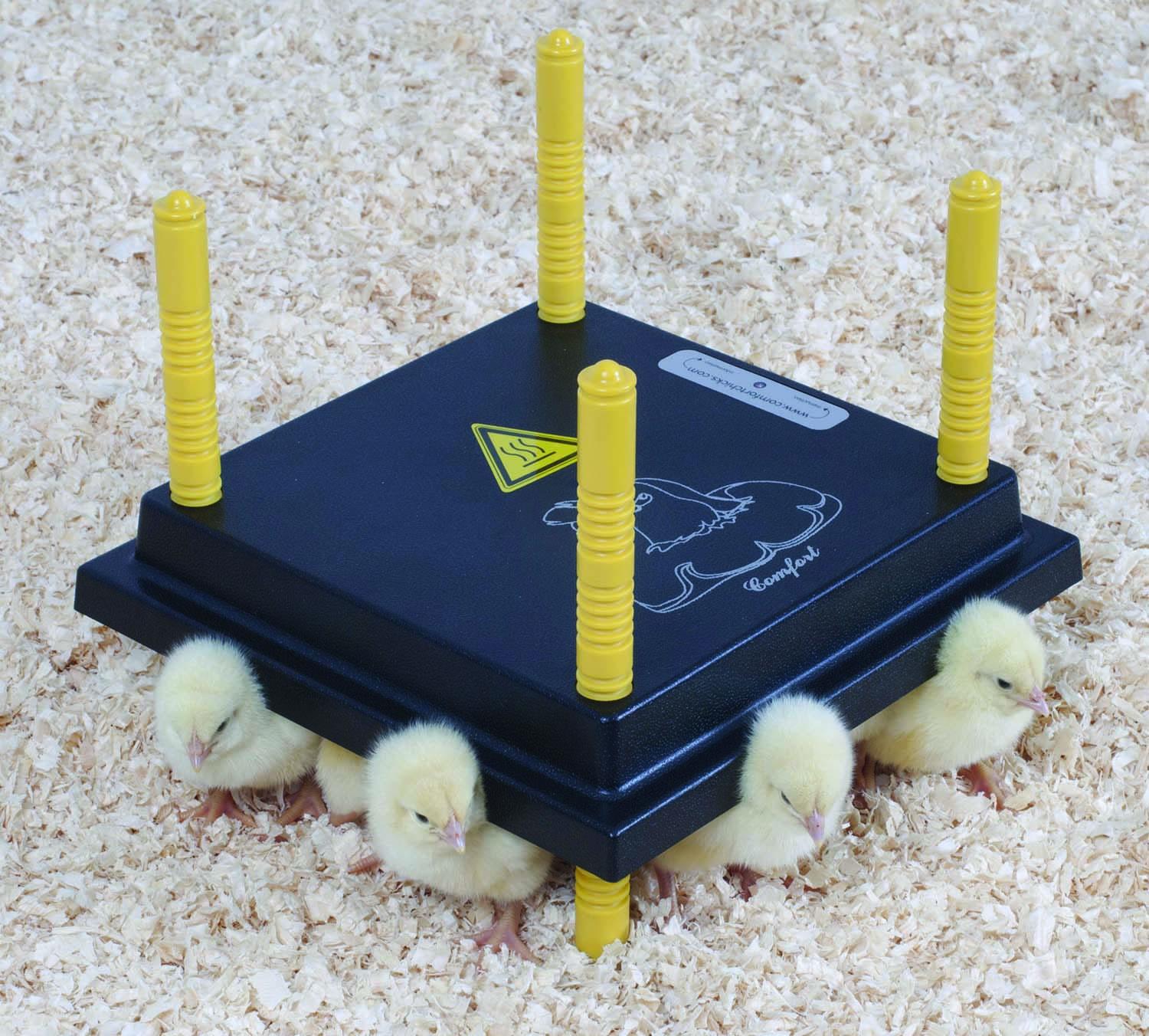Chicktec Comfort Brooder 40 Std Without Regulator - Just Horse Riders