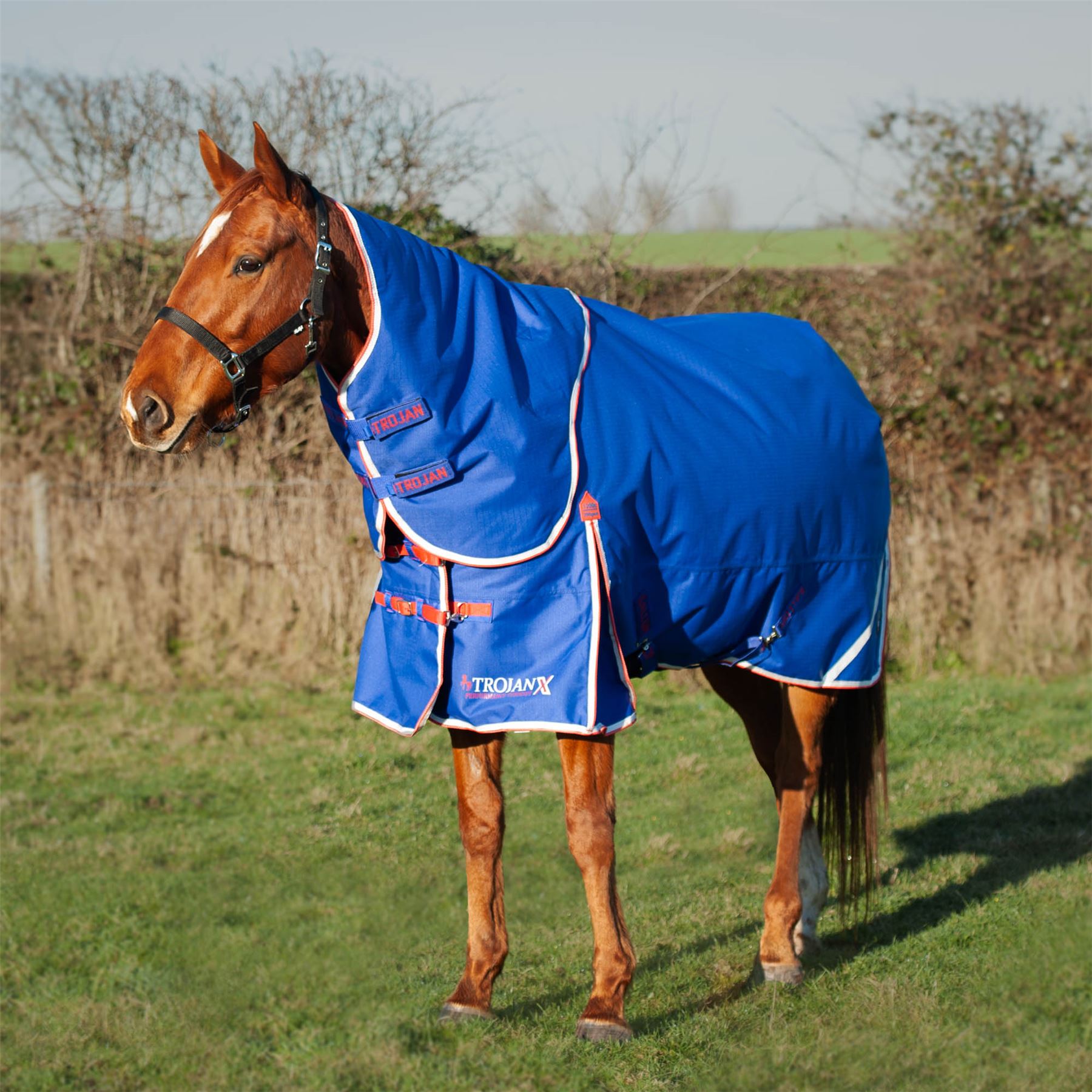 Gallop Equestrian Trojan Xtra 200 Dual Turnout Rug & Neck Set - Just Horse Riders