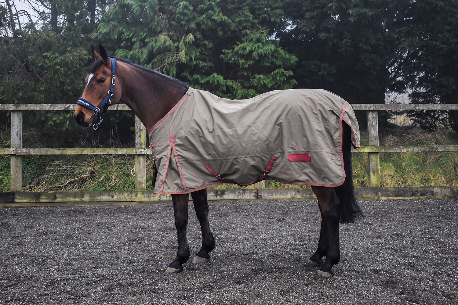 Whitaker Turnout Rug Tanfield 50 Gm - Just Horse Riders