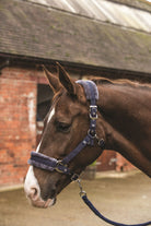 Mark Todd Fleece Lined Headcollar With Lead Rope - Just Horse Riders