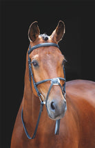 Shires Salisbury Brackley Bridle - Just Horse Riders