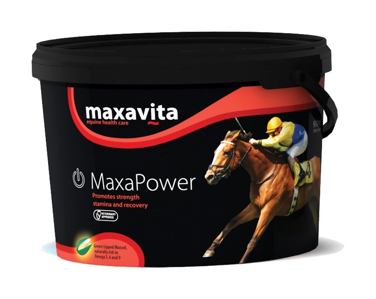 Maxavita Maxapower - Just Horse Riders