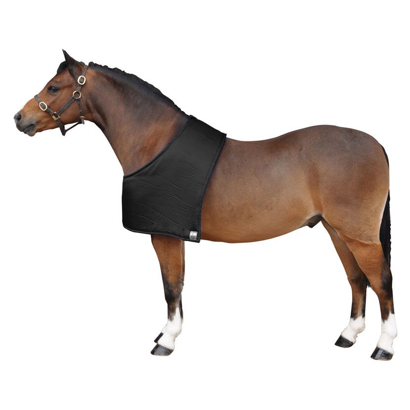 Lemieux Armour Shield Fly Protector Half Mask - Just Horse Riders