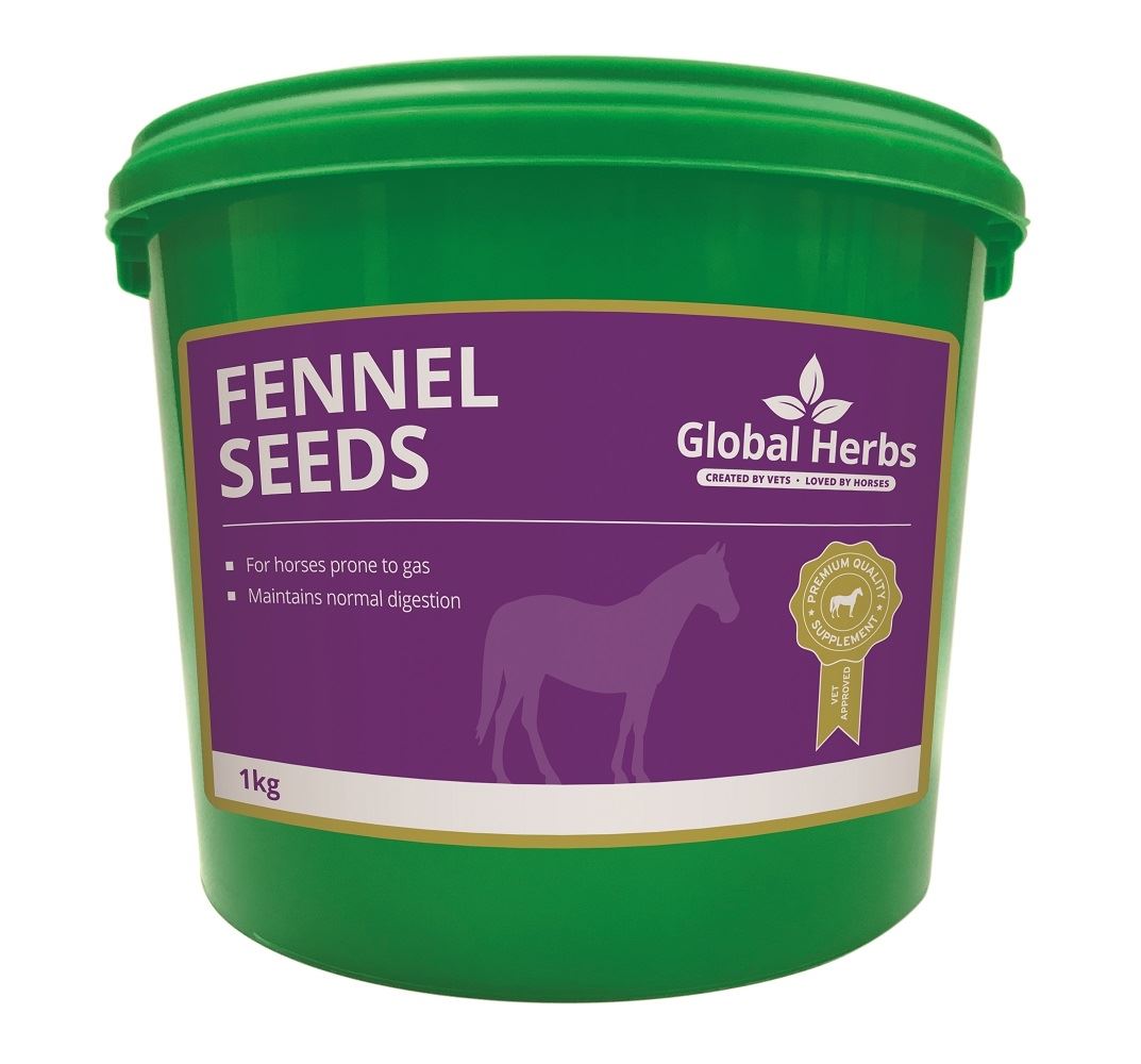 Global Herbs Fennel - Just Horse Riders
