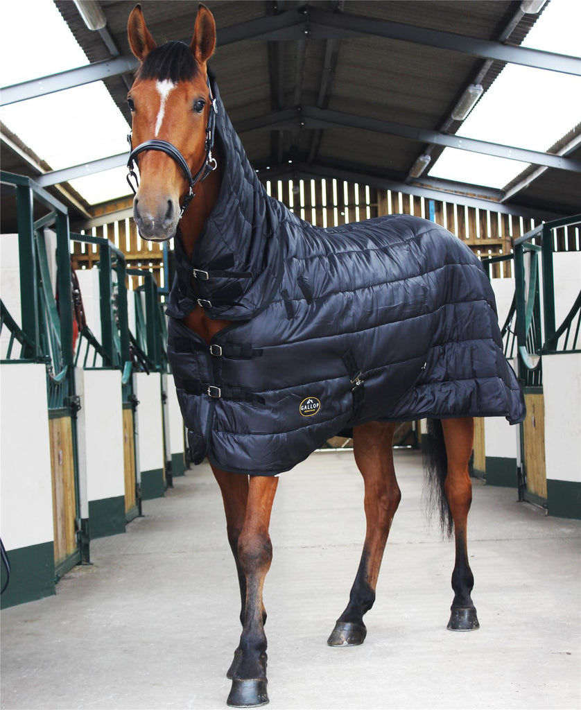 Gallop Equestrian Trojan 150 Combo Stable - Just Horse Riders